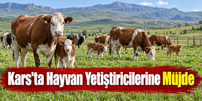 Kars'ta Hayvan Yetiştiricilerine Müjde