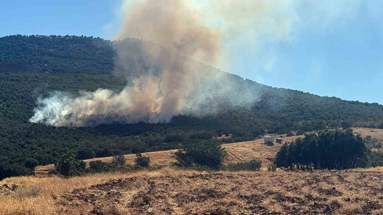 Mihalıççık’ta orman yangınına müdahale sürüyor