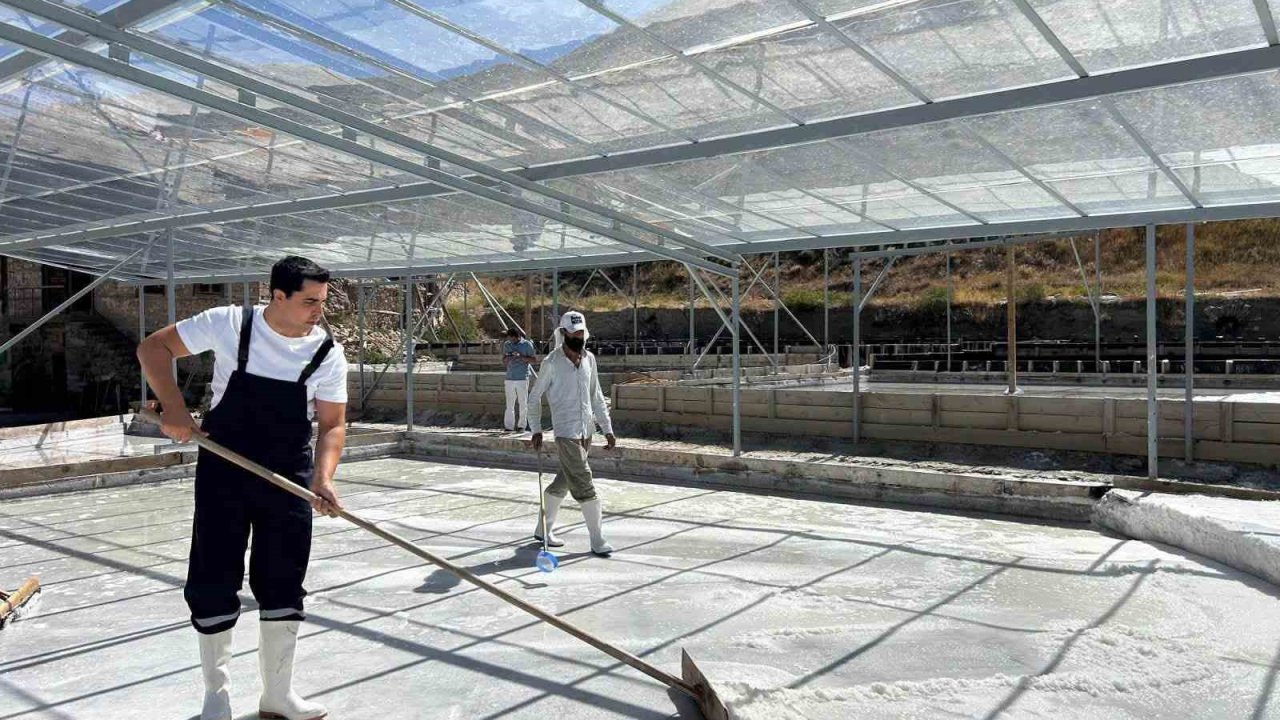 Kemah Kaymakamı Tutay, tuz hasadına katıldı