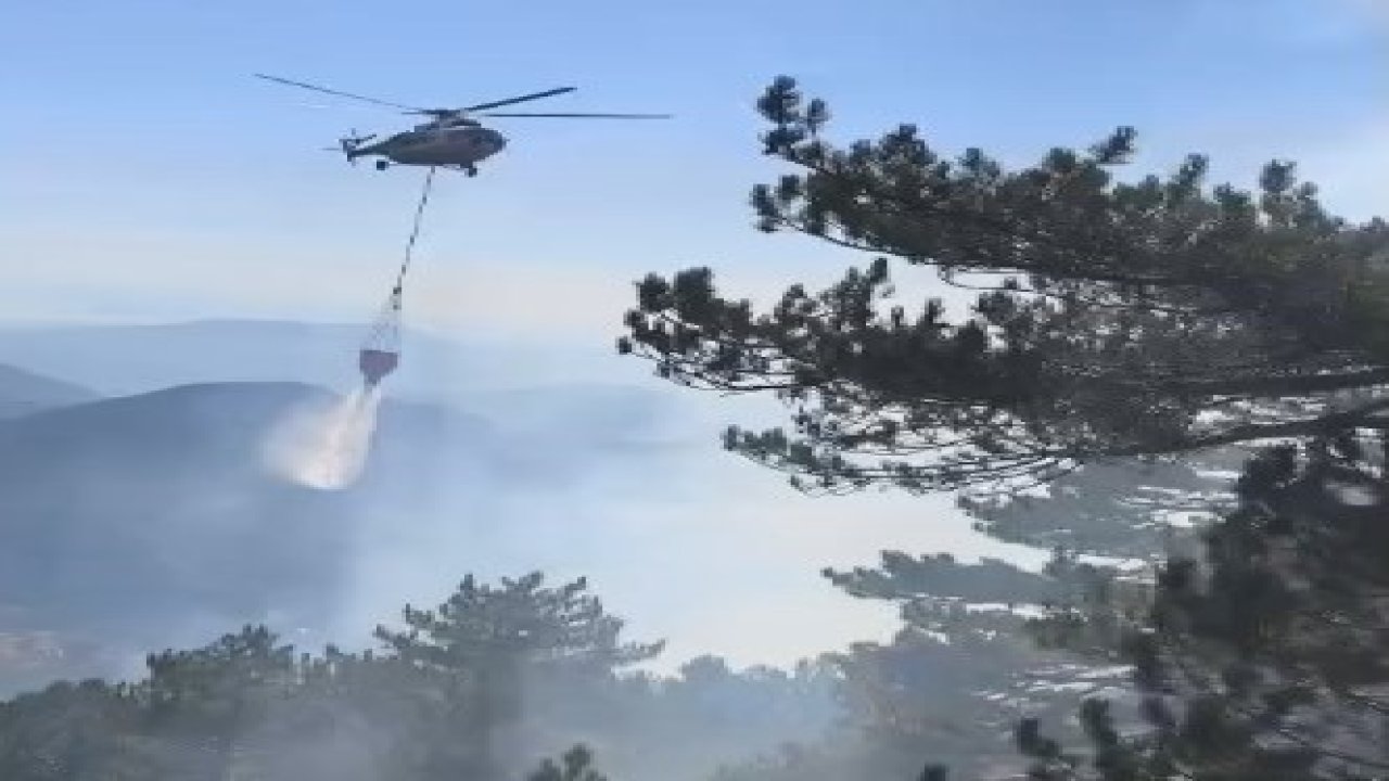 Fethiye’de orman yangını