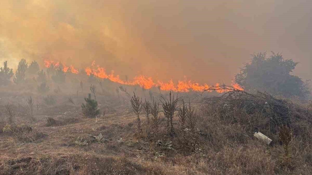 Bozüyük’te yangın kontrol altına alındı