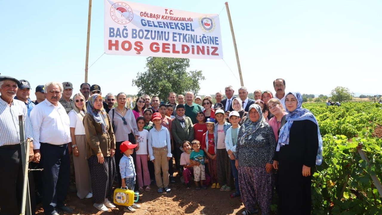 Gölbaşı’nda bağ bozumu heyecanı başladı