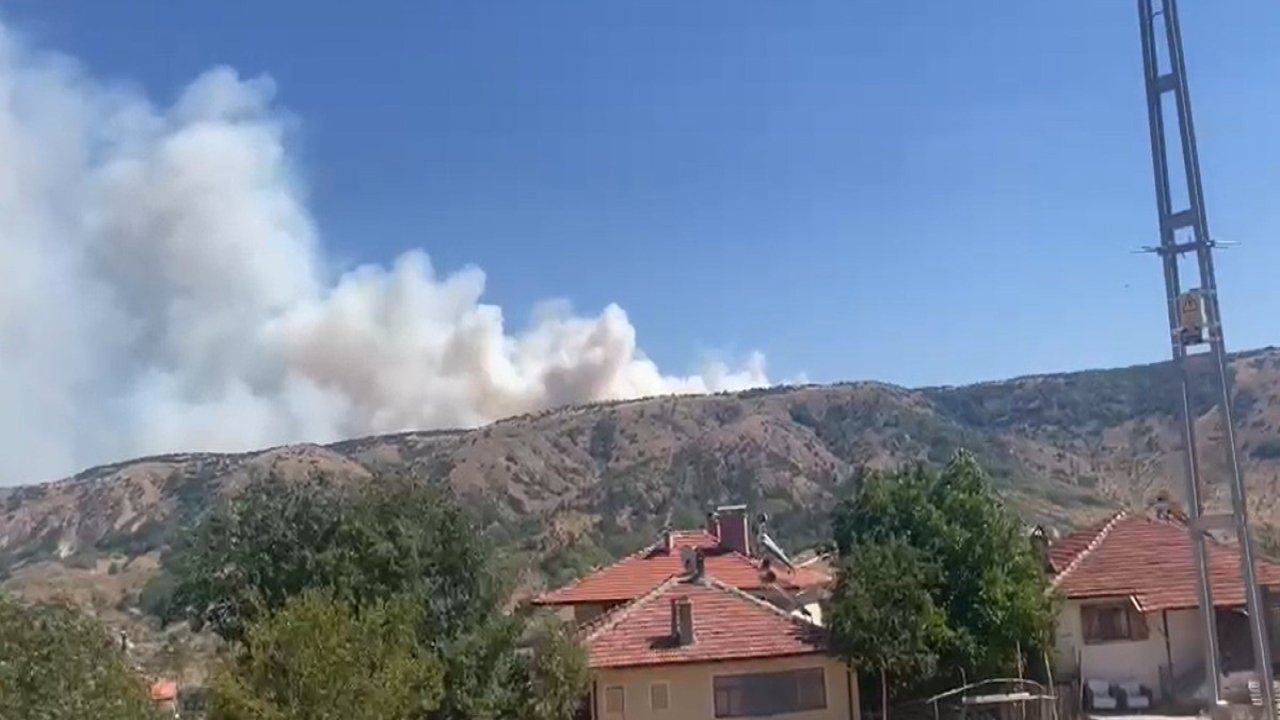 Ankara-Çankırı sınırında orman yangını