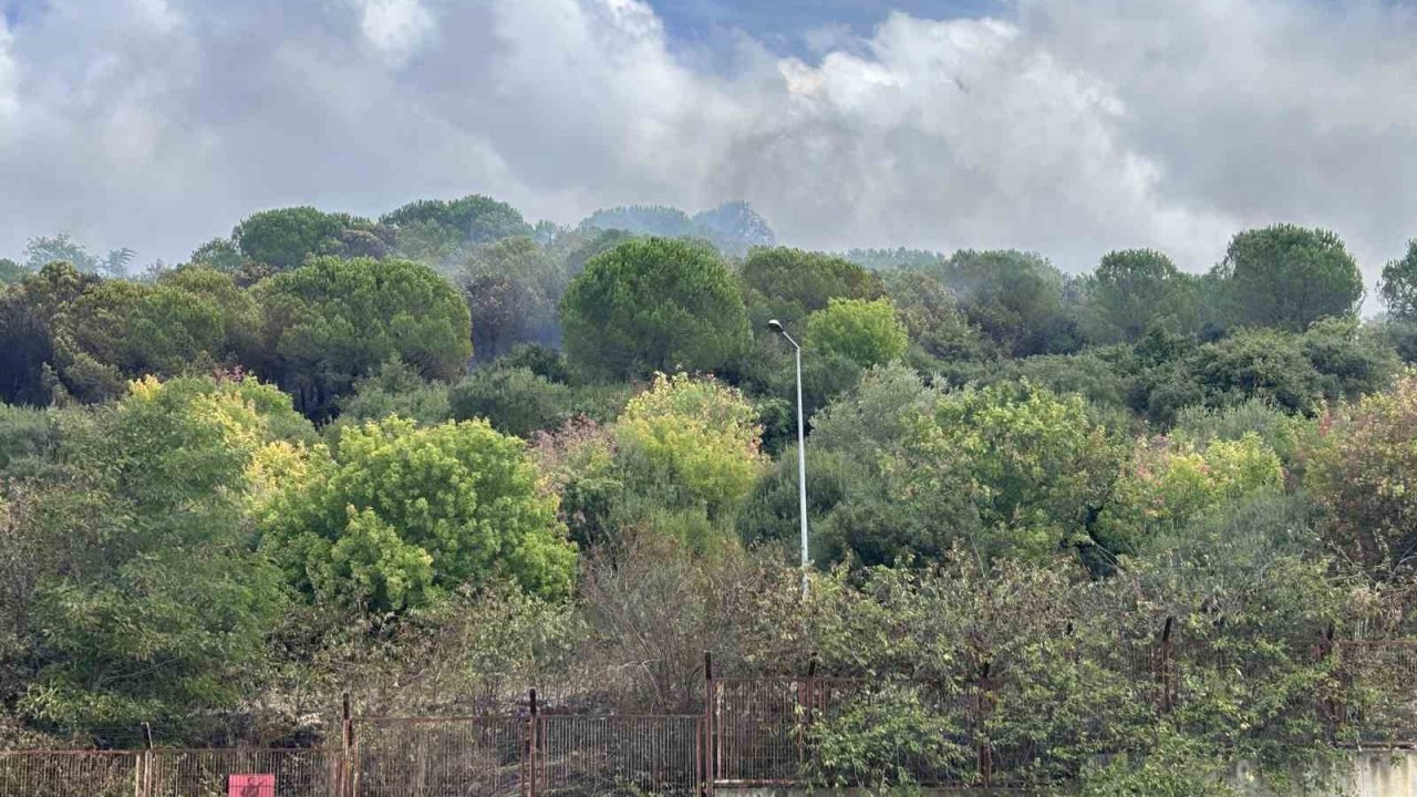 Maltepe’de ormanlık alanda korkutan yangın: Alevler Kenan Evren Kışlası’na sıçradı