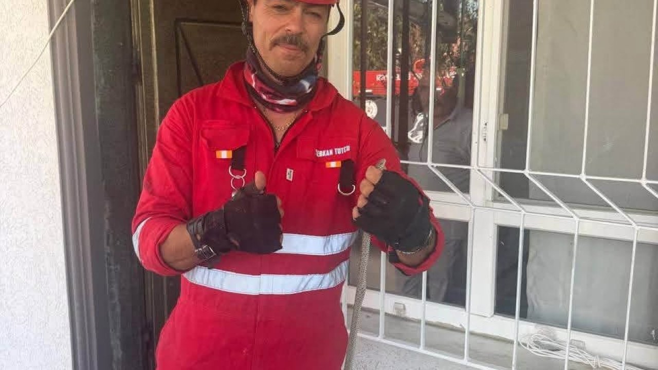 Antakya’da eve giren yılan yakalandı