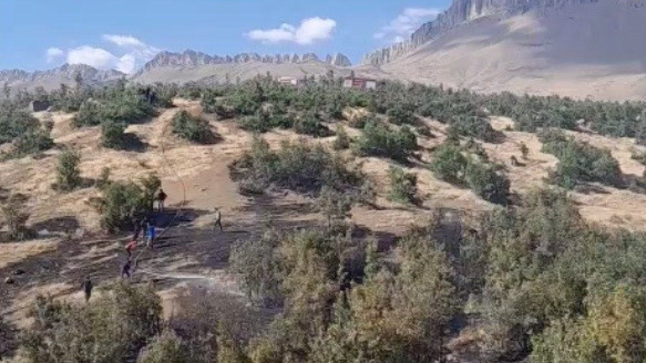 Beytüşşebap’ta orman yangını: Ekipler alevlerle mücadele ediyor