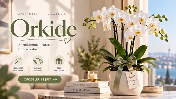 Orkide Neden Uzun Süre Hatırlanan Bir Hediye Seçeneğidir?