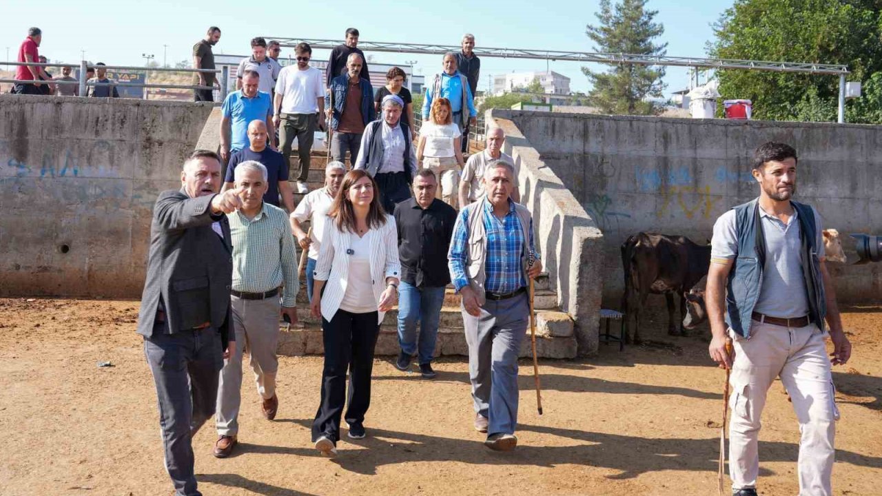 Eşbaşkan Bucak, hayvan borsasında incelemelerde bulundu