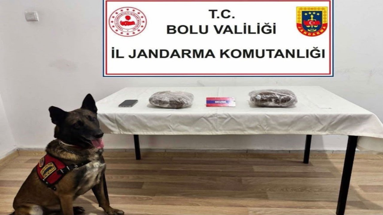 TEM’de yolcu otobüsünde 810 gram esrar ele geçirildi; 1 tutuklama