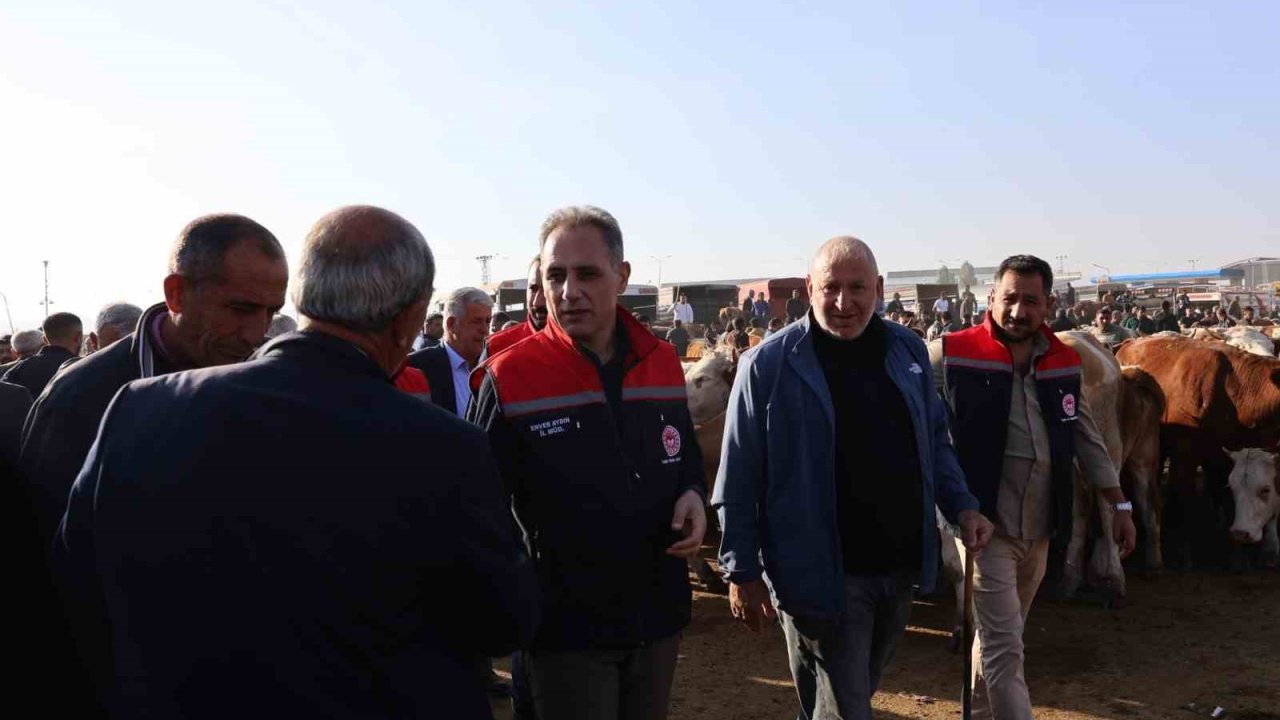 Kars Hayvan Pazarı’nda sıkı denetim: Hayvan hareketliliğine sağlık ve güvenlik filtresi