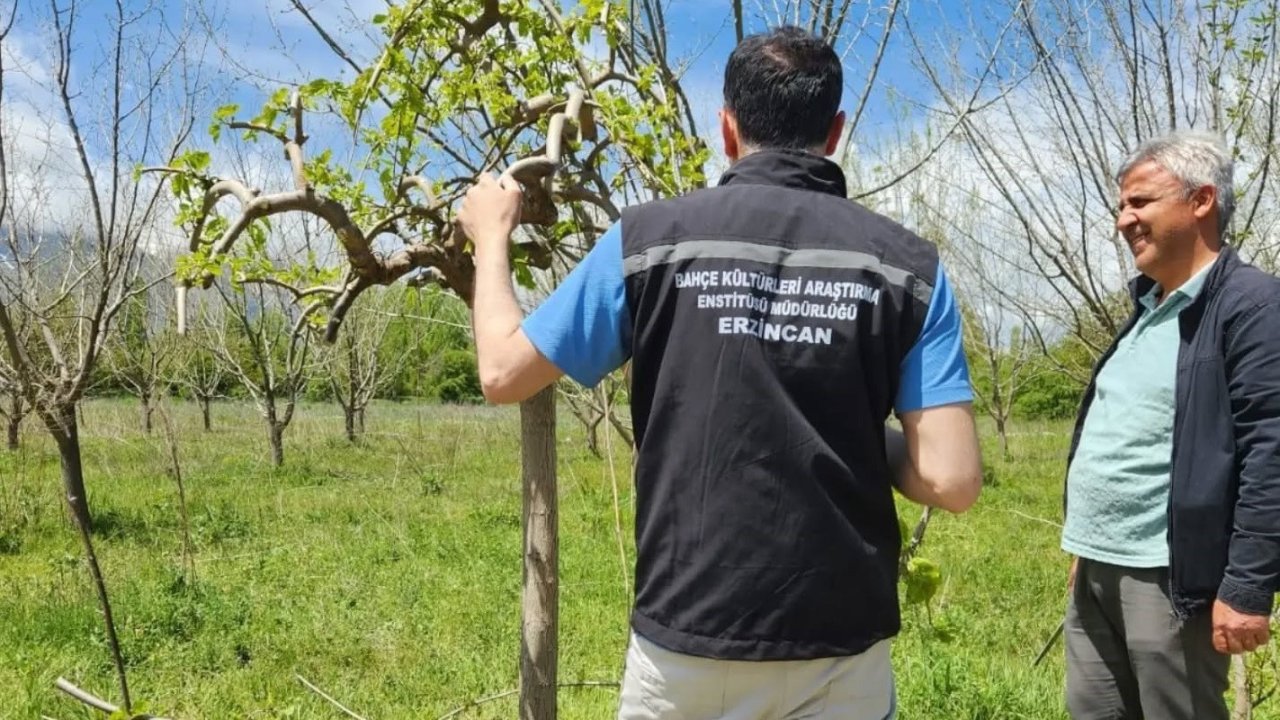 Erzincan’da çiftçilere sahada teknik destek