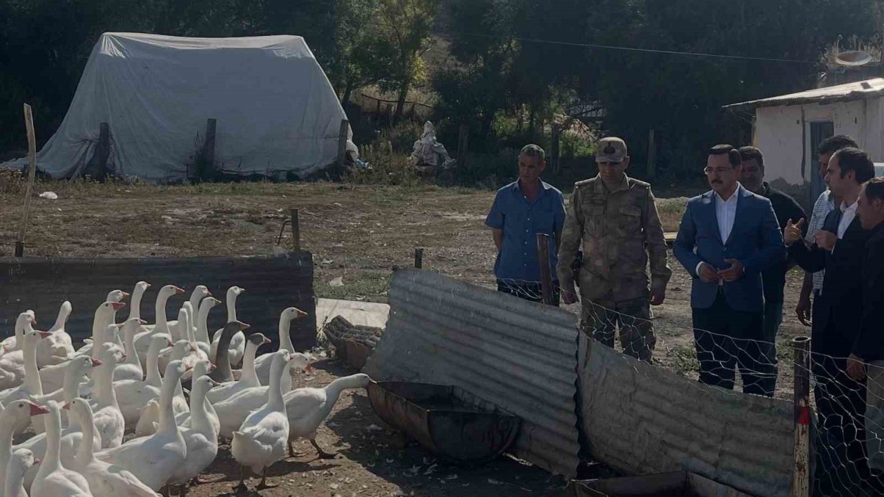 Akyaka’da kaz yetiştiriciliğine yakın takip
