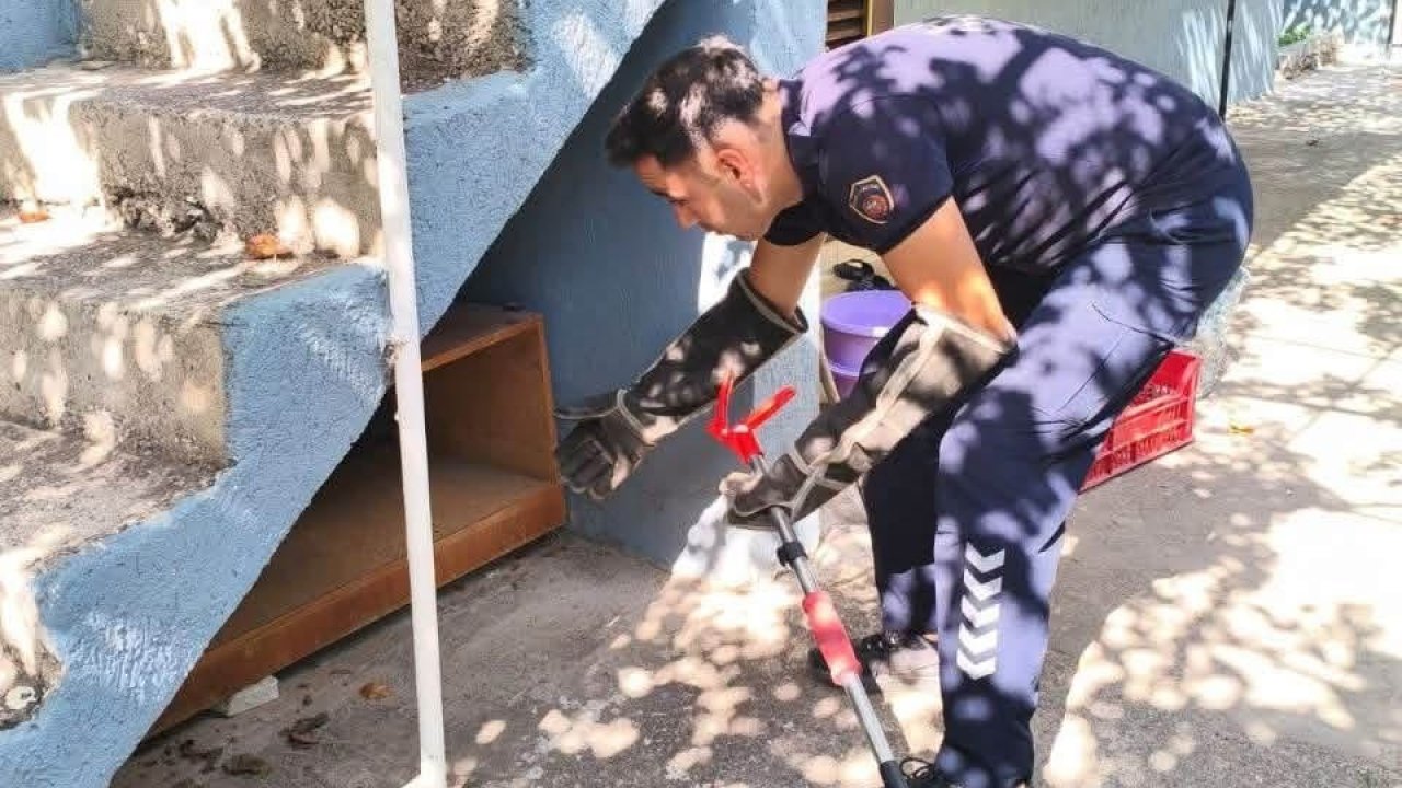 İskenderun’da evin içerisinde görülen yılan yakalandı