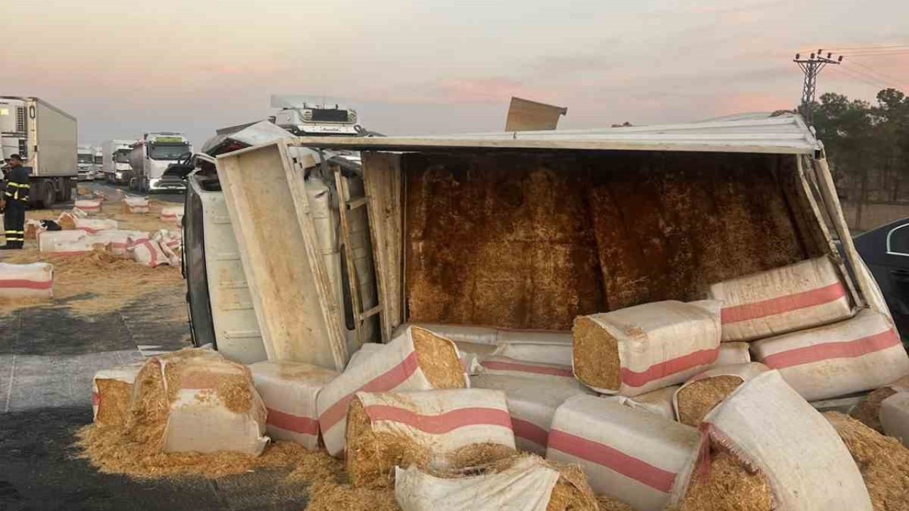 Mardin’de saman yüklü kamyonet devrildi: 1 yaralı
