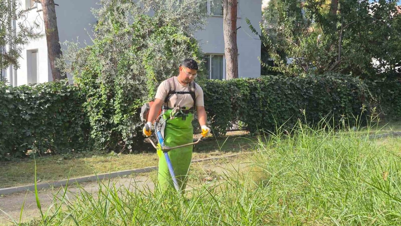 Kuşadası’nda yeşil alanlar bakıma alındı