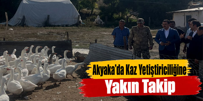 Akyaka’da Kaz Yetiştiriciliğine Yakın Takip