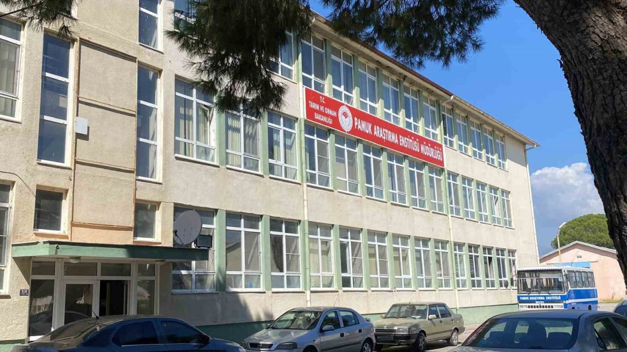 Pamuk Araştırma Enstitüsü’ndeki rüşvet iddiasına operasyon