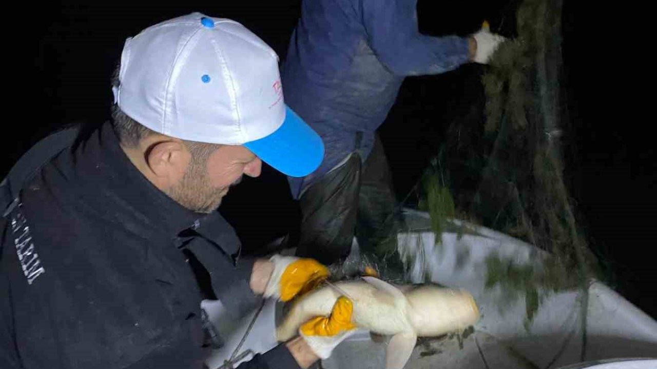 Kovada Gölü’nde kaçak avcılığa gece denetimi