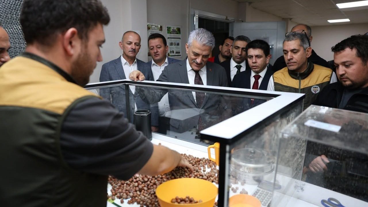Vali Makas Çilimli’de TMO fındık alım merkezini inceledi