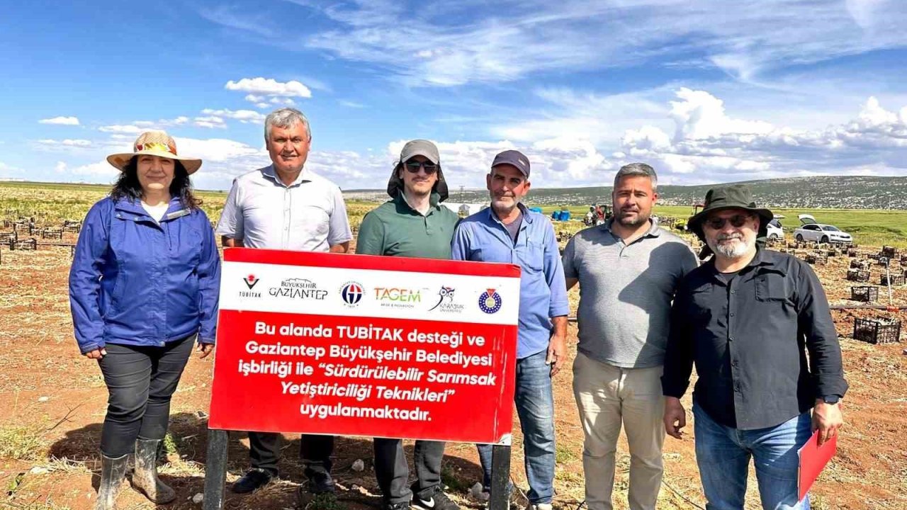 KBÜ’den sarımsak gastalıklarının tespitine yönelik projeye katkı