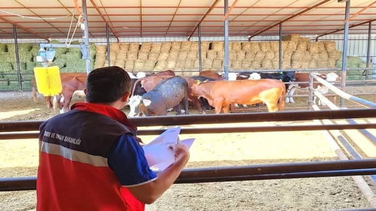 TİGEM işletmelerinde denetim yapıldı