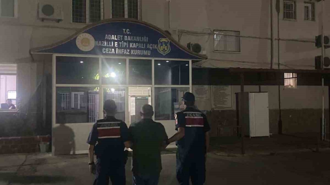 Kuyucak’ta ormanlık alanda kenevir yetiştiren şüpheli suçüstü yakalandı
