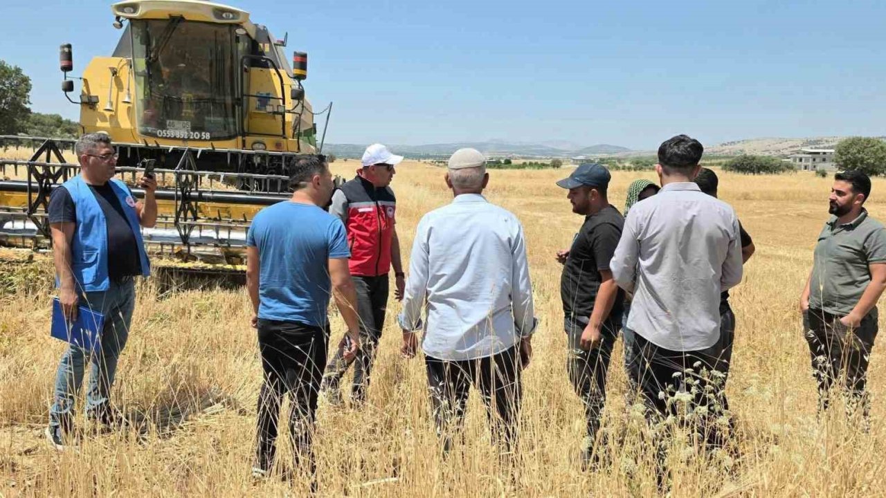 TAKEP kapsamında yüzde 75 hibe ile mercimek tohumuna müracaatlar başladı