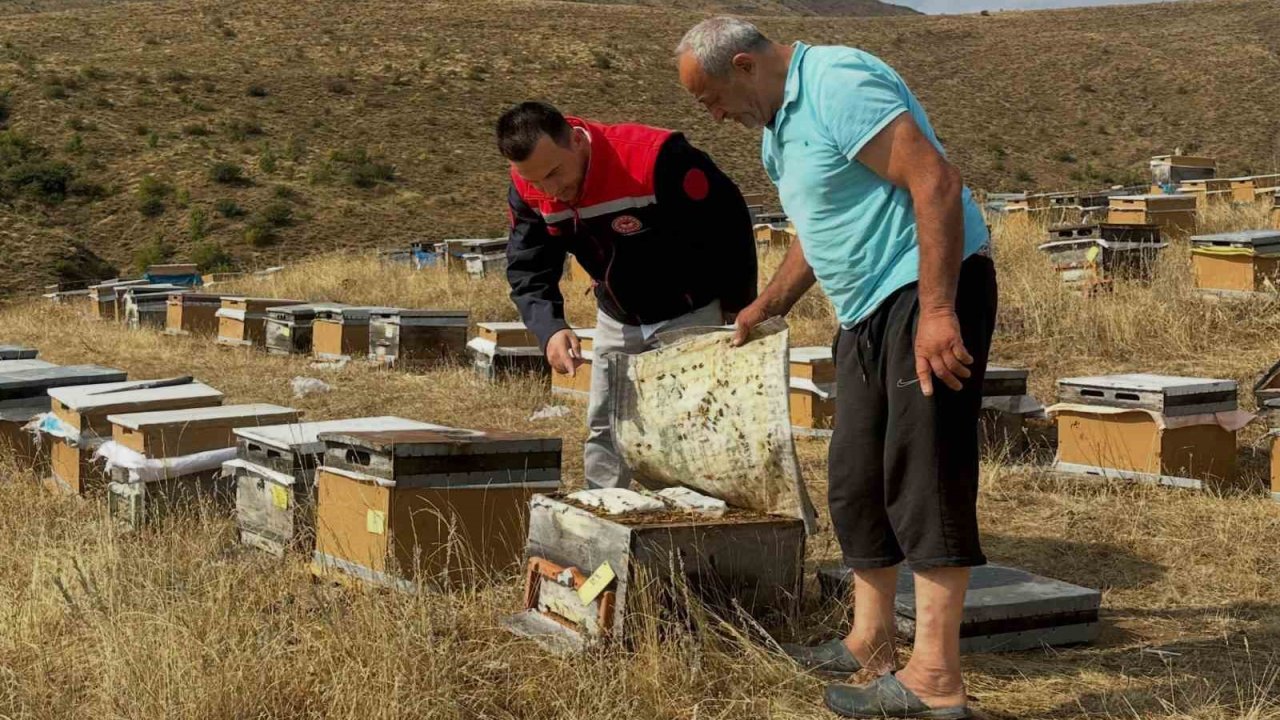 Aydıntepe’de 2026 yılı arılı kovan tespitleri başladı