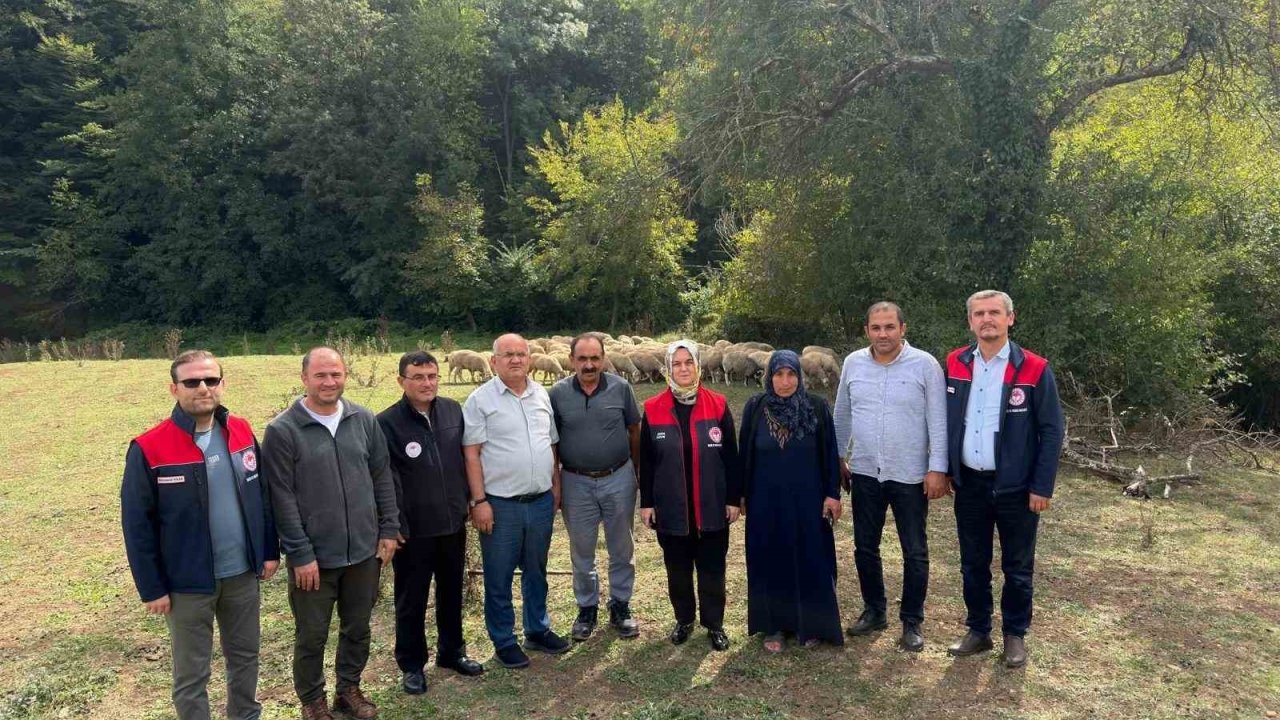 Kırsalda bereket, küçükbaşa destek
