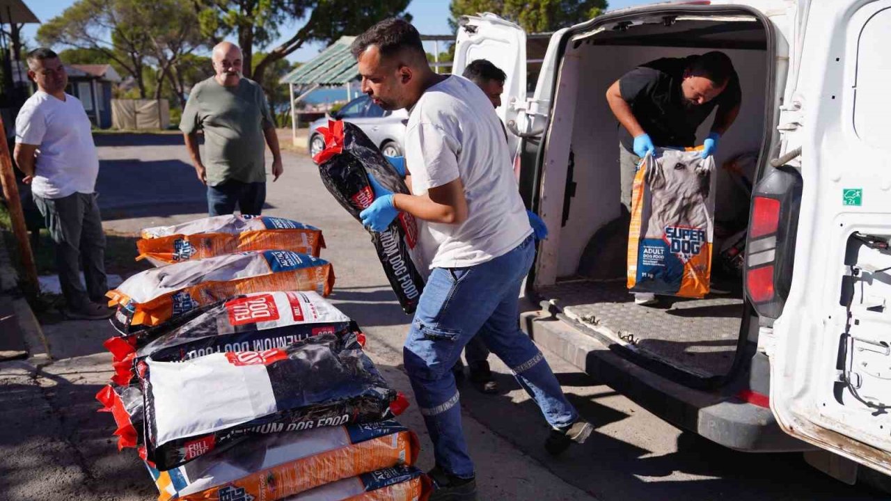 Ayvalık’ta can dostlar için yaklaşık 1 ton mama toplandı