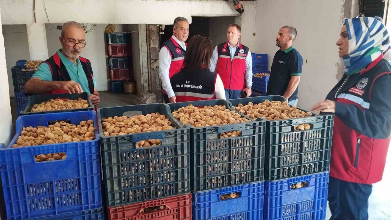 Aydın’da kuru incir için sıkı denetim