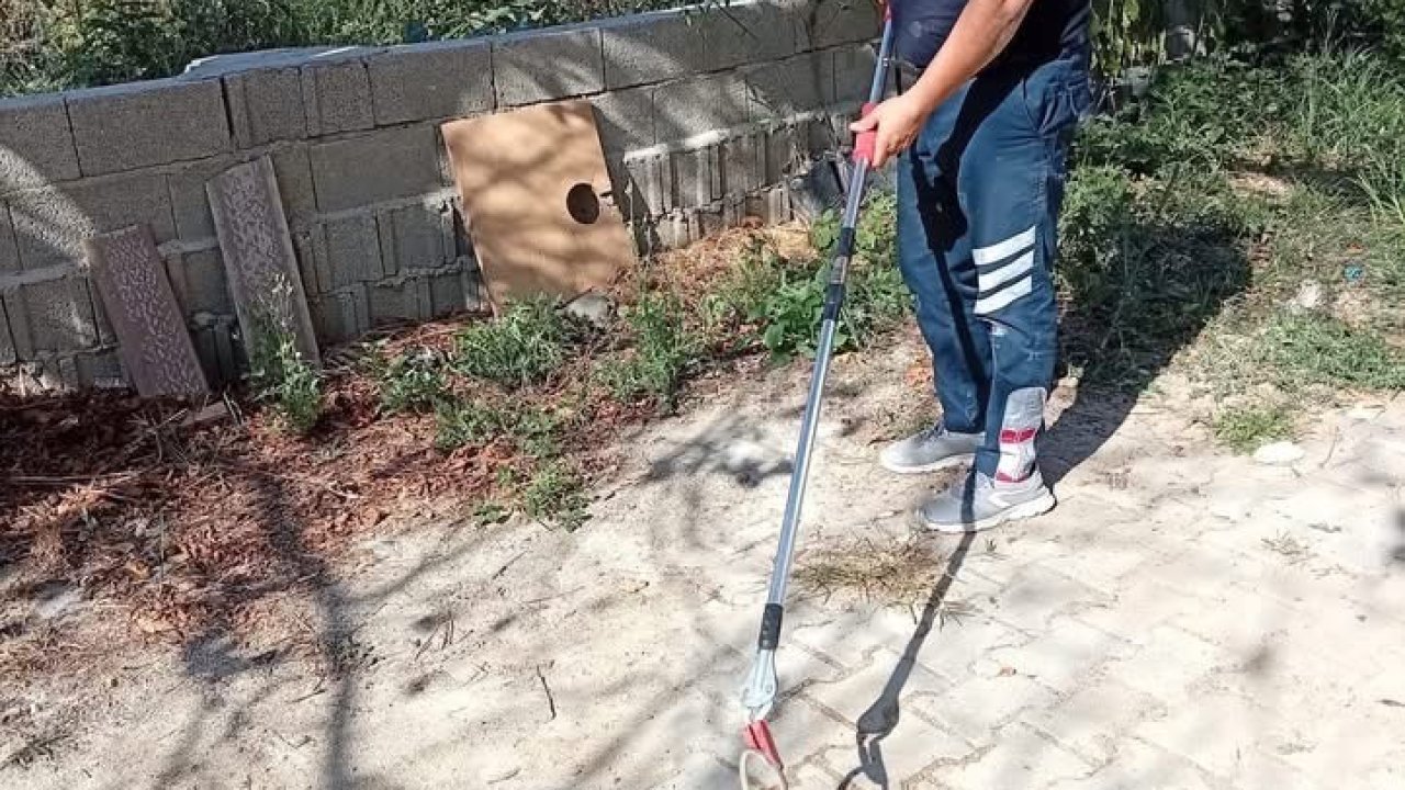 Samandağ’da yerleşim yerinde görülen yılan yakalanarak doğaya bırakıldı