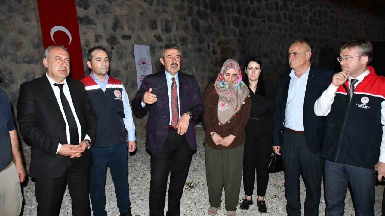 Cizre’de kadın çiftçiye 100 adet küçükbaş hayvan desteği