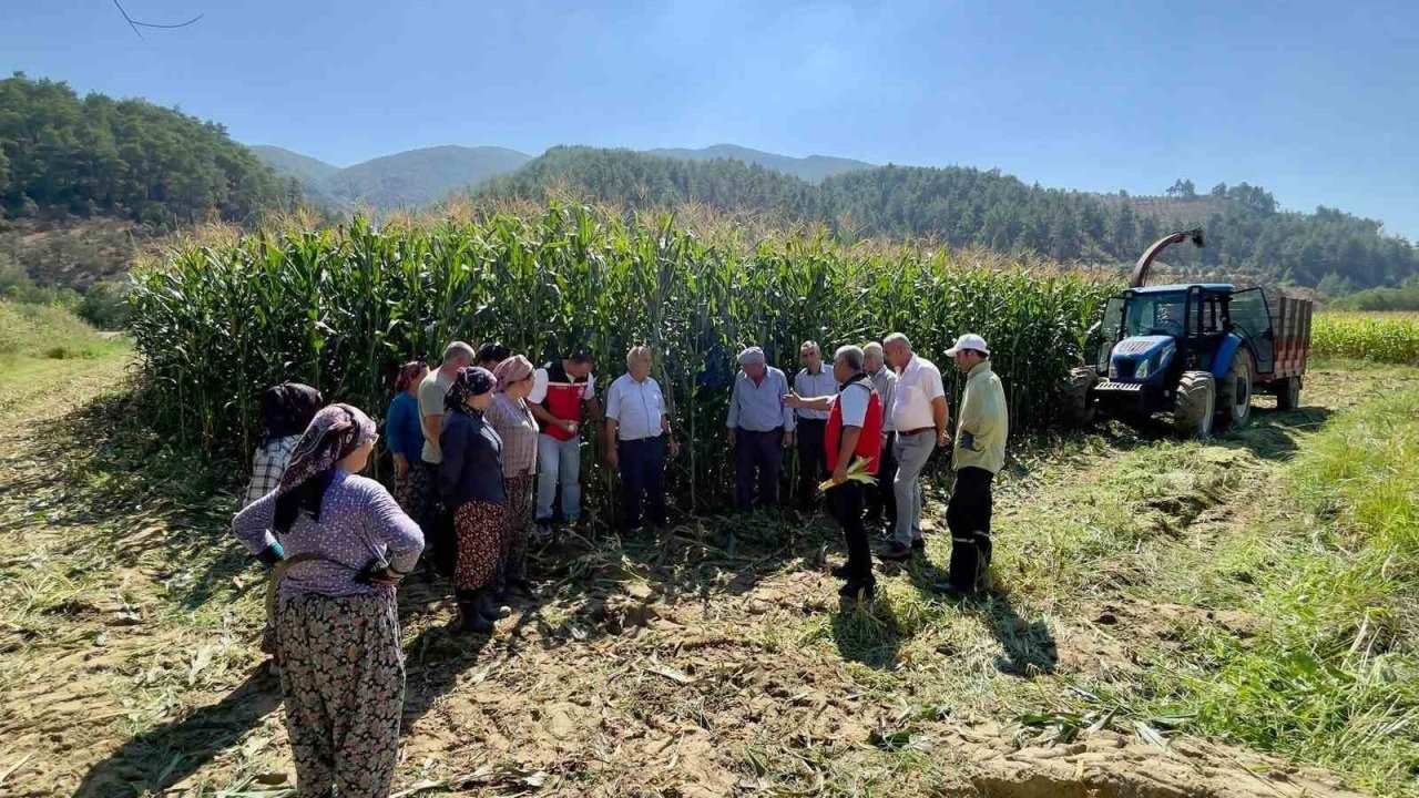 Menteşe’de üreticilere silajlık mısır eğitimi verildi