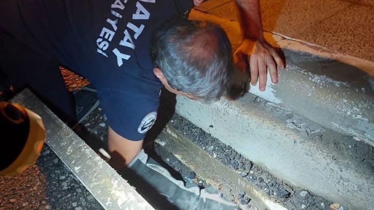 İskenderun’da mahsur kalan hayvanlar ekipler tarafından kurtarıldı