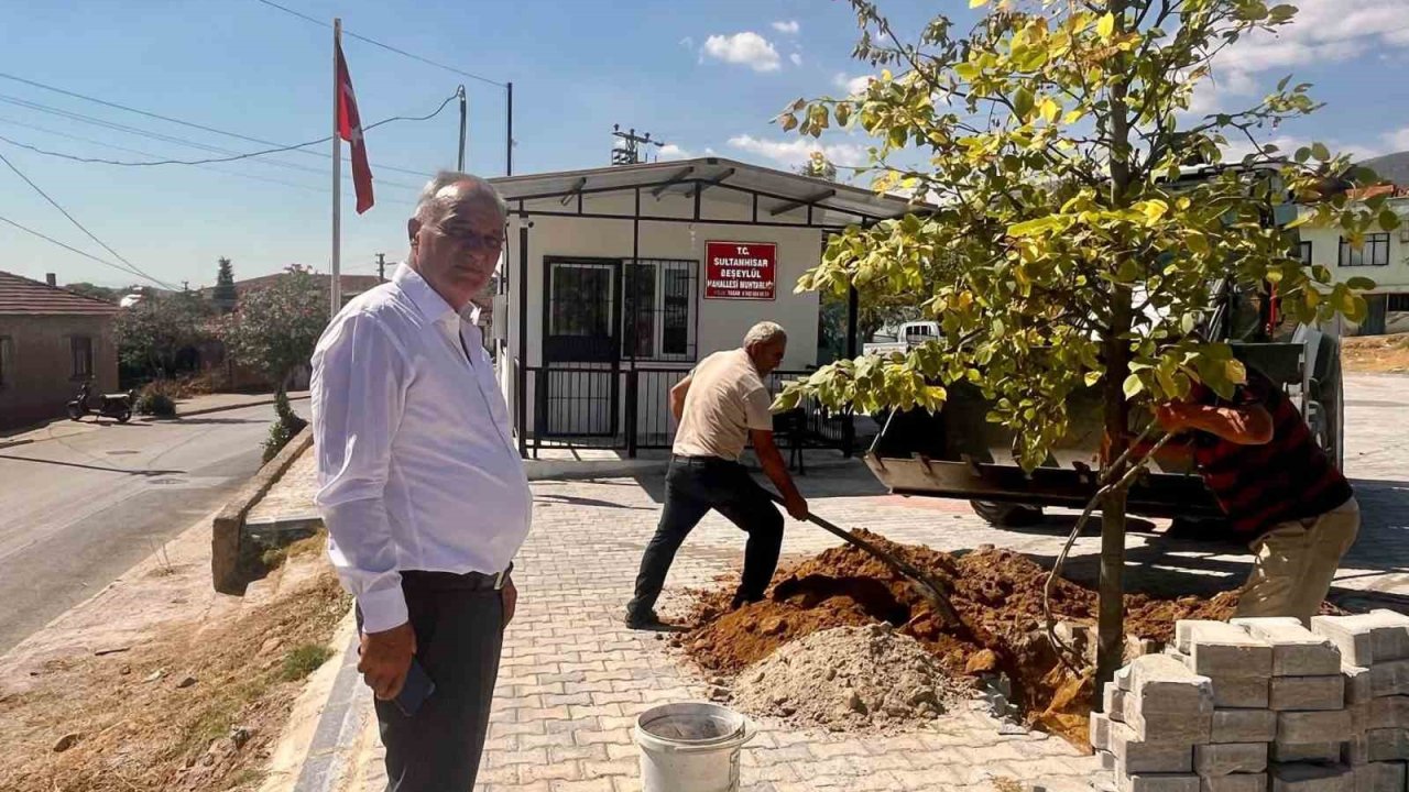 Sultanhisar’da ağaçlandırma çalışmaları sürüyor