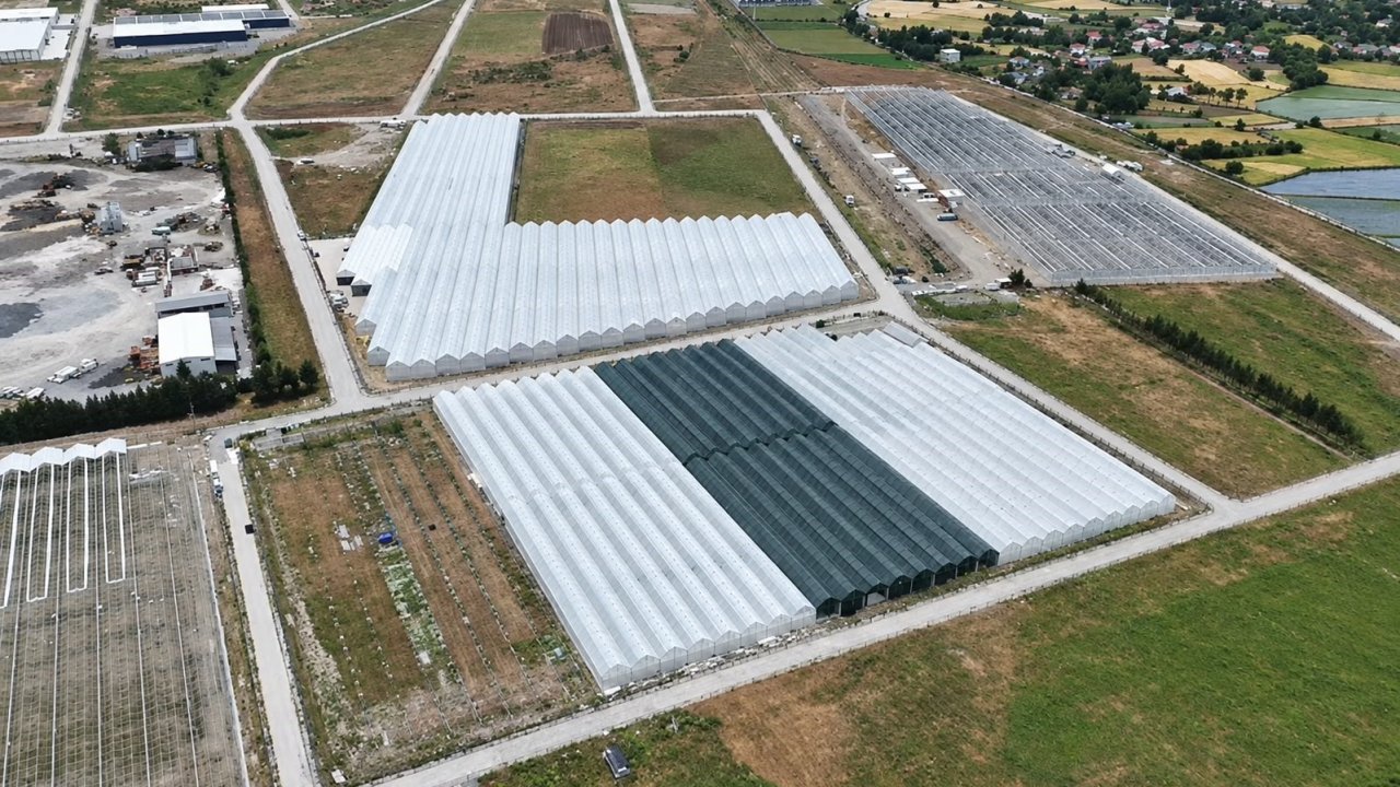 Bafra’da sera organize tarım bölgesinde doluluk yüzde 85’e ulaştı