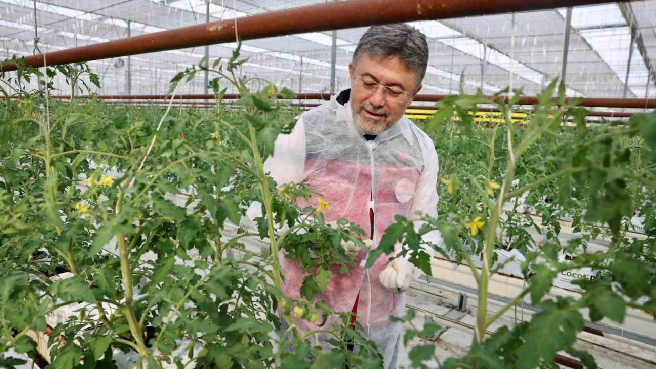 Bakan Yumaklı’dan Erzincan’da jeotermal sera mesajı