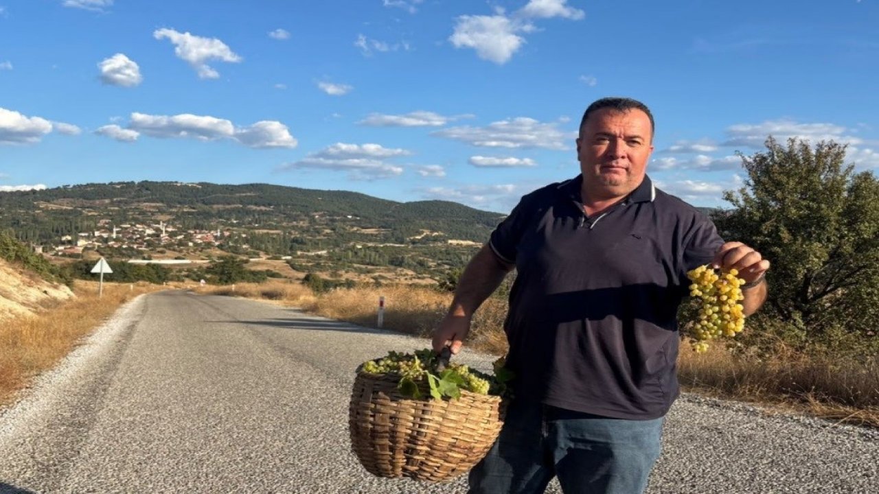 Emet ilçesi Sülye köyünde bağ bozumu heyecanı