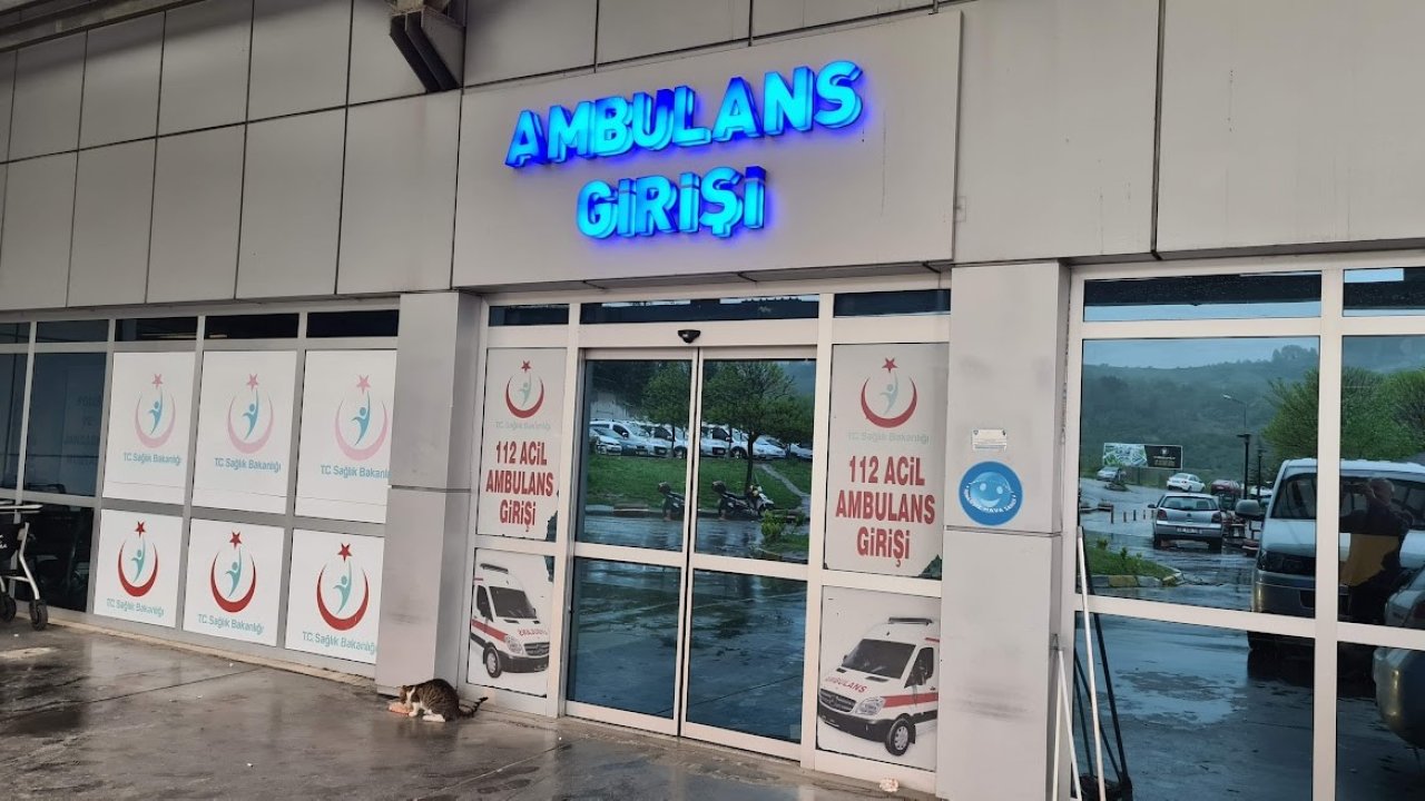 Ağaçtan düşen adam, merdiveni tutan kişiyi de yaraladı