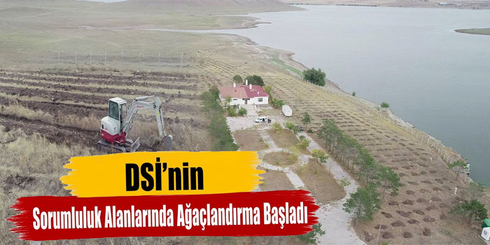 DSİ’den Ağaçlandırma ve Orman Yangınlarına Karşı İş Birliği