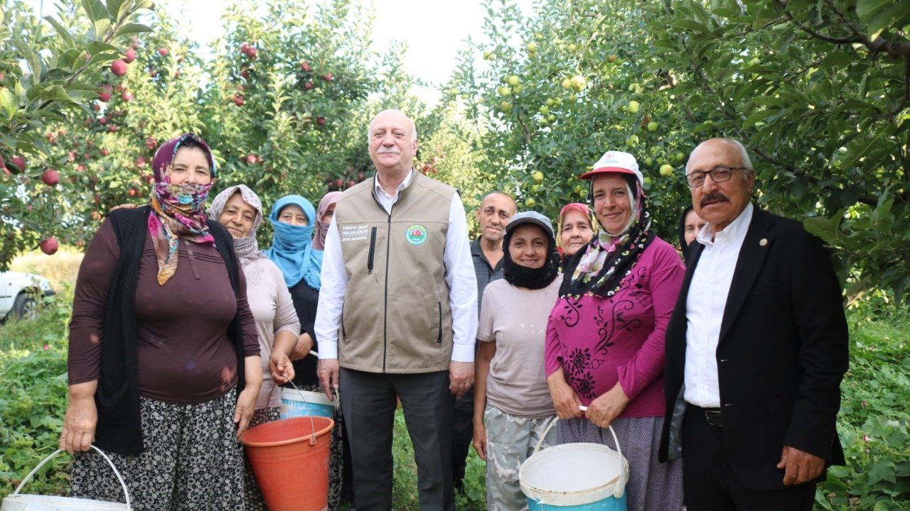 Şemsi Bayraktar’dan Çivril’de elma hasadı yaptı