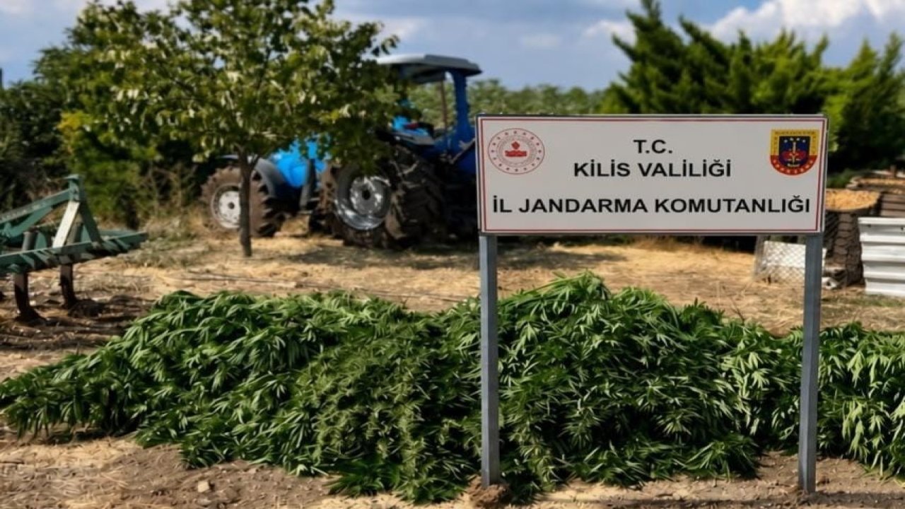 Kilis’te 40 kilo 500 gram kubar esrar ele geçirildi