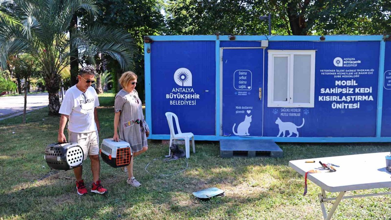 Mobil sahipsiz kedi kısırlaştırma ünitesi Karaalioğlu Parkı’nda