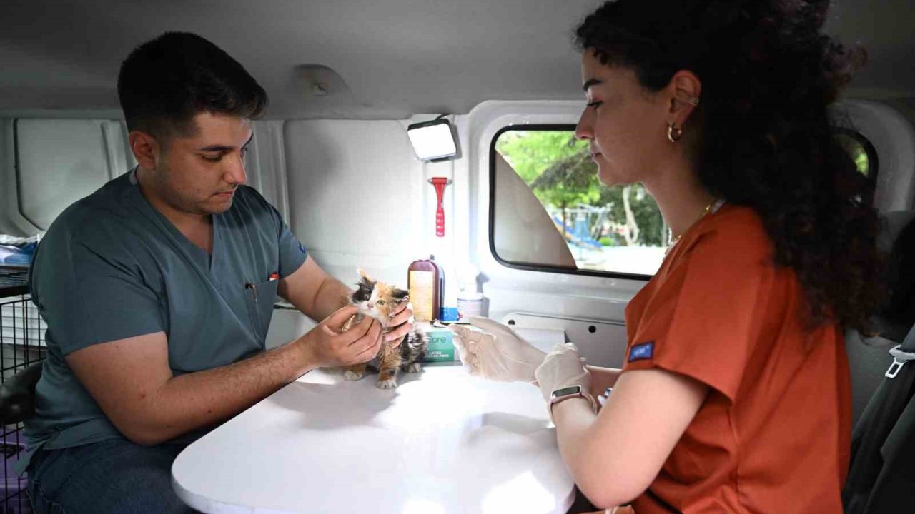 Sahipsiz sokak hayvanlarına ‘PATİVET’ şefkati