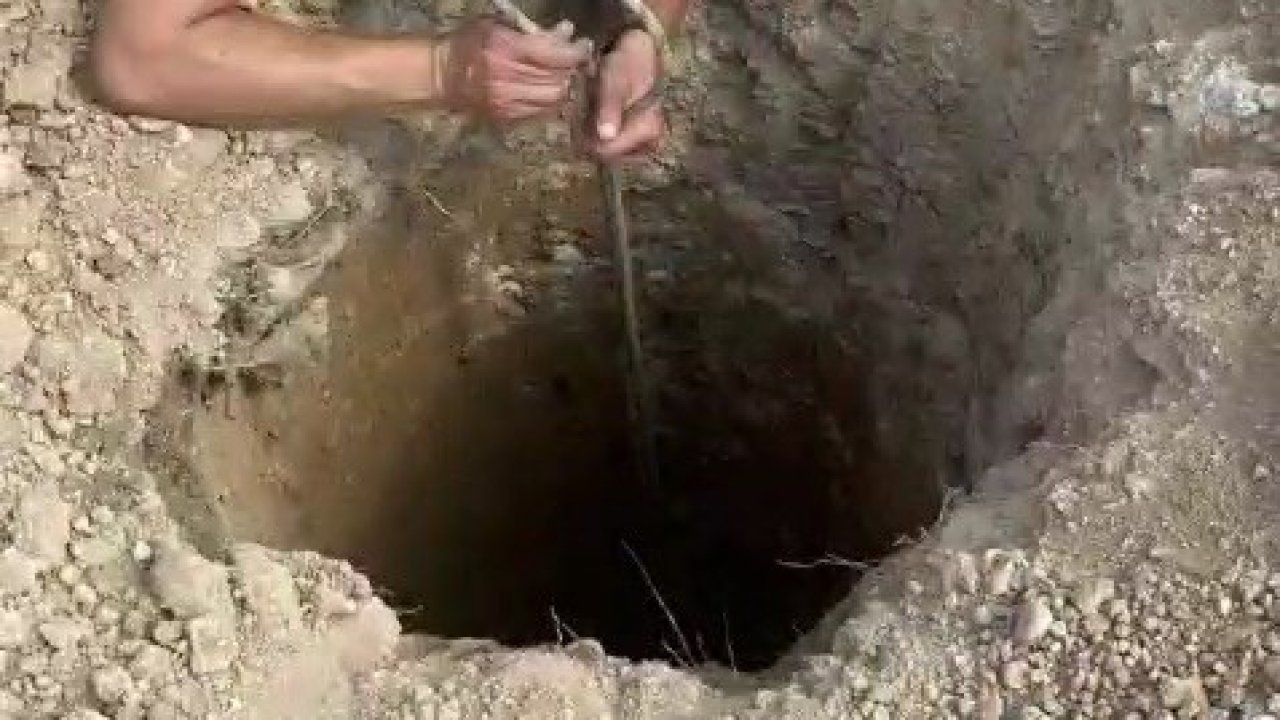 Şantiyedeki kuyuya düşen köpeği itfaiye kurtardı