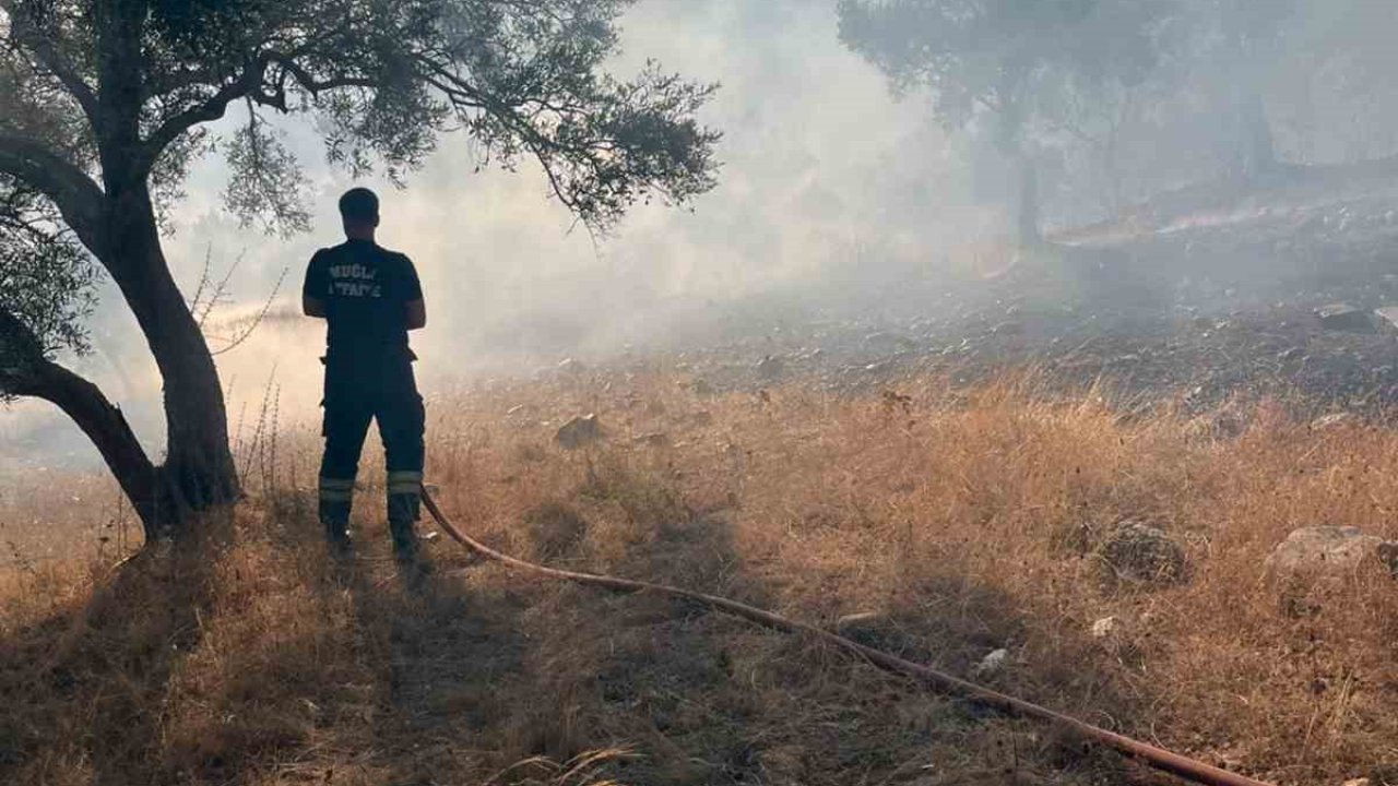 Bodrum-Milas karayolu üzerinde ot yangını