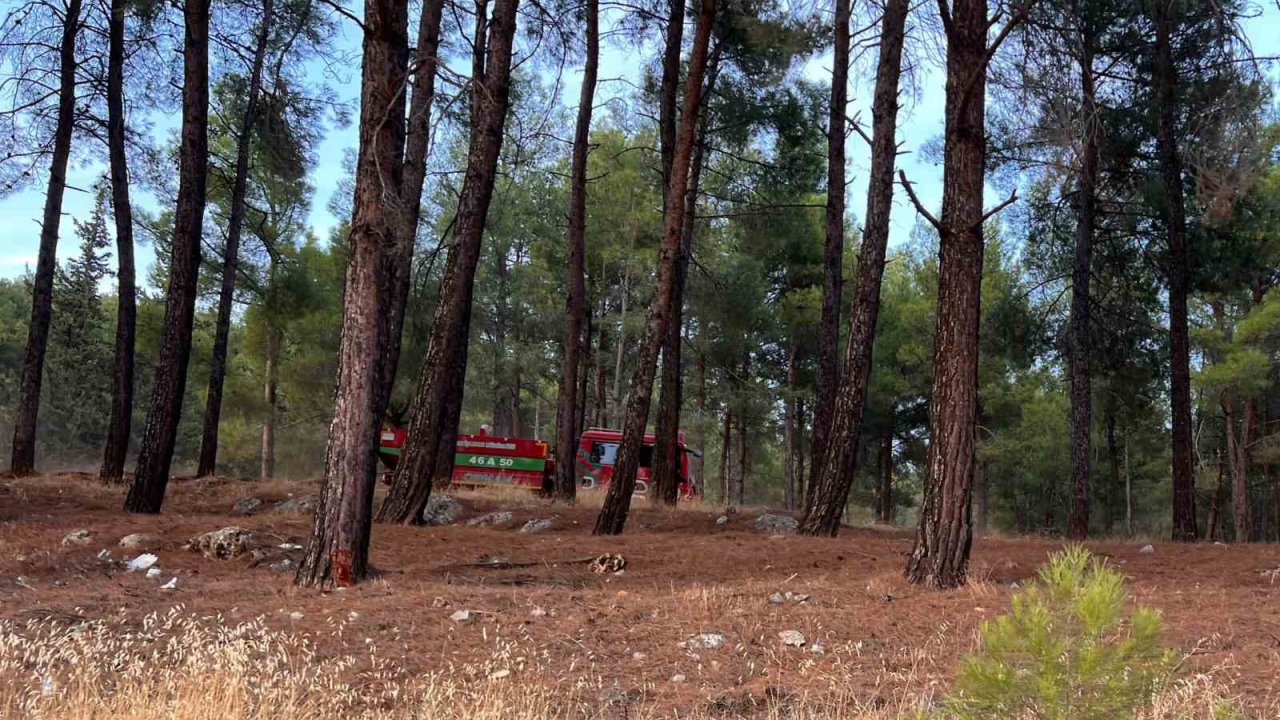 Kahramanmaraş’ta orman yangını