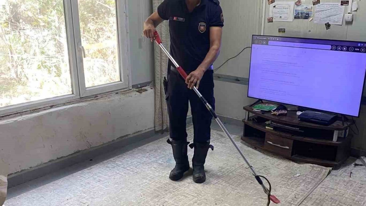 Defne’de eve giren yılanı itfaiye yakaladı