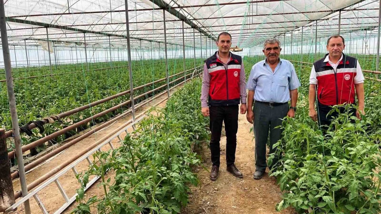 Simav’da seracılık faaliyetleri yerinde incelendi